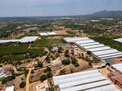 Quinta T3 - Moncarapacho, Olh�o, Faro (Algarve) - Miniatura: 10/21