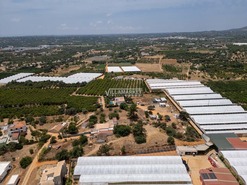 Quinta T3 - Moncarapacho, Olh�o, Faro (Algarve) - Miniatura: 11/21