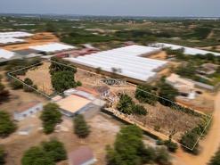 Quinta T3 - Moncarapacho, Olh�o, Faro (Algarve) - Miniatura: 15/21