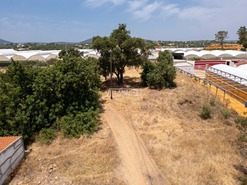 Quinta T3 - Moncarapacho, Olh�o, Faro (Algarve) - Miniatura: 20/21