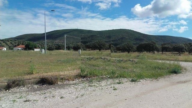Terreno Rústico T0 - Vila Verde de Ficalho, Serpa, Beja - Imagem grande