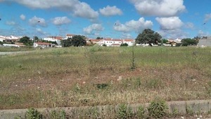 Terreno Rstico T0 - Vila Verde de Ficalho, Serpa, Beja - Miniatura: 7/16