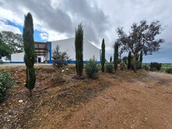 Quinta T3 - Serpa, Serpa, Beja - Miniatura: 27/57