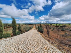 Quinta T3 - Serpa, Serpa, Beja - Miniatura: 52/57