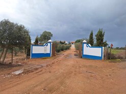 Quinta T3 - Serpa, Serpa, Beja - Miniatura: 53/57