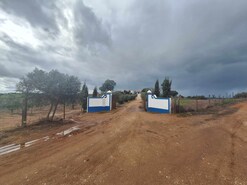 Quinta T3 - Serpa, Serpa, Beja - Miniatura: 57/57