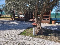 Quinta T3 - Vila Nova de So Bento, Serpa, Beja - Miniatura: 31/43