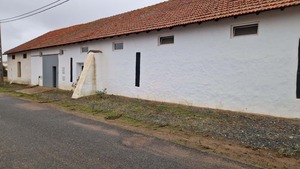 Moradia T4 - Corte do Pinto, Mrtola, Beja - Miniatura: 11/16