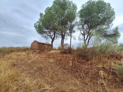 Terreno Rstico T0 - Amieira, Portel, vora