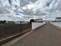 Quinta T5 - Vila Nova de So Bento, Serpa, Beja - Miniatura: 10/61