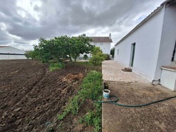 Quinta T5 - Vila Nova de So Bento, Serpa, Beja - Miniatura: 18/61