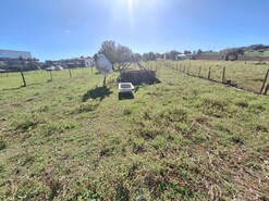 Terreno Rstico T0 - Vila Nova de So Bento, Serpa, Beja - Miniatura: 5/7