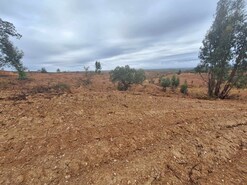 Terreno Rstico T0 - Amieira, Portel, vora - Miniatura: 3/23