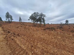 Terreno Rstico T0 - Amieira, Portel, vora - Miniatura: 5/23