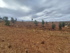Terreno Rstico T0 - Amieira, Portel, vora - Miniatura: 7/23