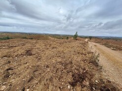 Terreno Rstico T0 - Amieira, Portel, vora - Miniatura: 10/23