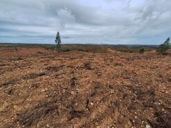 Terreno Rstico T0 - Amieira, Portel, vora - Miniatura: 21/23
