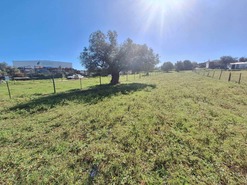 Terreno Rstico T0 - Vila Nova de So Bento, Serpa, Beja - Miniatura: 7/7