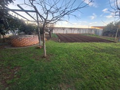 Quinta T5 - Safara, Moura, Beja - Miniatura: 42/48