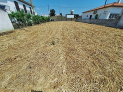 Terreno Rstico T0 - Vila Nova de So Bento, Serpa, Beja - Miniatura: 14/19