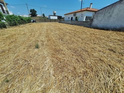 Terreno Rstico T0 - Vila Nova de So Bento, Serpa, Beja - Miniatura: 17/19