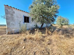 Quinta T2 - Serpa, Serpa, Beja - Miniatura: 5/20