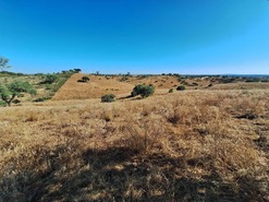 Quinta T2 - Serpa, Serpa, Beja - Miniatura: 8/20