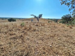 Quinta T2 - Serpa, Serpa, Beja - Miniatura: 9/20