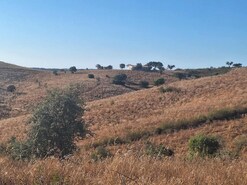 Quinta T2 - Serpa, Serpa, Beja - Miniatura: 10/20