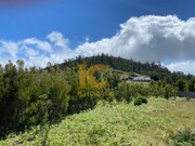 Terreno Rstico - Gaula, Santa Cruz, Ilha da Madeira - Miniatura: 2/3