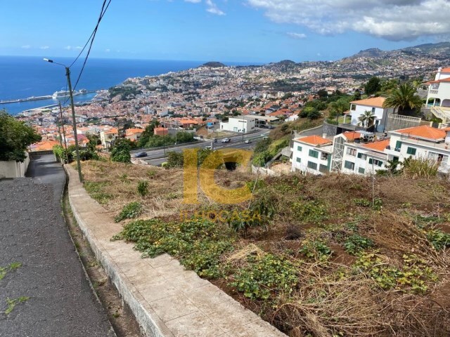 Terreno Rstico - Funchal, Funchal, Ilha da Madeira - Imagem grande