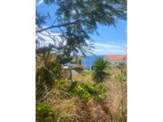 Terreno Urbano - Canio, Santa Cruz, Ilha da Madeira - Miniatura: 6/8
