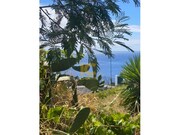Terreno Urbano - Canio, Santa Cruz, Ilha da Madeira - Miniatura: 7/8