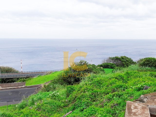 Terreno Rstico - Gaula, Santa Cruz, Ilha da Madeira - Imagem grande