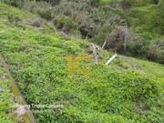 Terreno Rstico - Gaula, Santa Cruz, Ilha da Madeira - Miniatura: 2/2