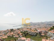 Quinta T3 - Funchal, Funchal, Ilha da Madeira - Miniatura: 3/9