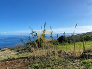 Terreno Rstico - Gaula, Santa Cruz, Ilha da Madeira - Miniatura: 4/9