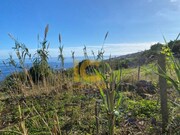Terreno Rstico - Gaula, Santa Cruz, Ilha da Madeira - Miniatura: 5/9