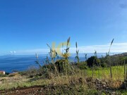 Terreno Rstico - Gaula, Santa Cruz, Ilha da Madeira - Miniatura: 6/9