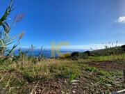 Terreno Rstico - Gaula, Santa Cruz, Ilha da Madeira - Miniatura: 9/9