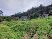 Terreno Rstico - Santo Antnio da Serra, Machico, Ilha da Madeira - Miniatura: 3/6