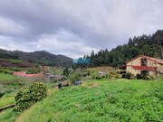 Terreno Rstico - Santo Antnio da Serra, Machico, Ilha da Madeira - Miniatura: 5/6