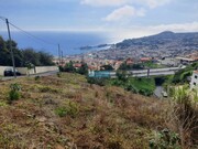Terreno Rstico - So Gonalo, Funchal, Ilha da Madeira - Miniatura: 5/9