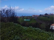 Terreno Rstico - Ponta do Pargo, Calheta (Madeira), Ilha da Madeira - Miniatura: 2/9