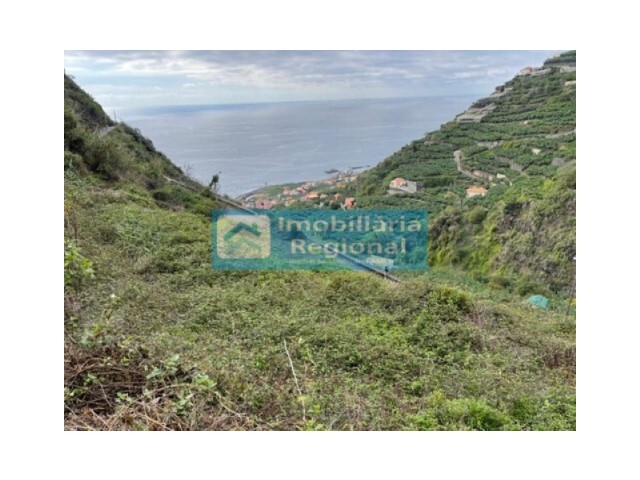 Terreno Rstico - Tabua, Ribeira Brava, Ilha da Madeira - Imagem grande