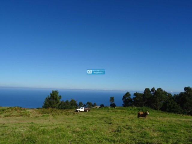 Terreno Rstico - Ponta do Pargo, Calheta (Madeira), Ilha da Madeira - Imagem grande