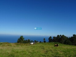 Terreno Rstico - Ponta do Pargo, Calheta (Madeira), Ilha da Madeira