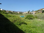Terreno Rstico - So Martinho, Funchal, Ilha da Madeira - Miniatura: 2/9