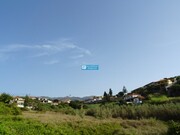 Terreno Rstico - So Martinho, Funchal, Ilha da Madeira - Miniatura: 4/9