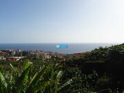 Terreno Rstico - So Martinho, Funchal, Ilha da Madeira - Miniatura: 5/9